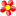 natureswondersflorist.com icon