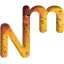 naturmuseumsg.ch icon