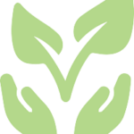 naturopathe-lille-castelain.fr icon