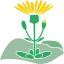 naturpark-thueringer-wald.de icon