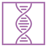 natxogalan.com icon