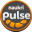 naukripulse.com icon