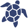 navarrebeachnews.com icon