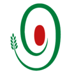 navdanyainternational.org icon
