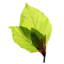 navoti-shop.com icon