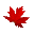 ncio.ca icon