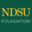 ndsufoundation.com icon