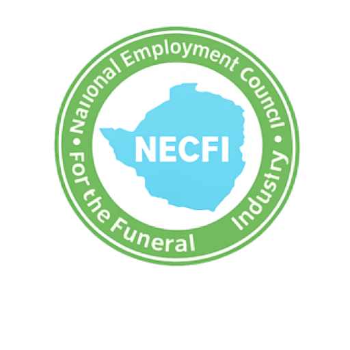 necfi.co.zw logo