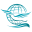 nedabal.com icon