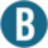 nederlandbruist.nl icon