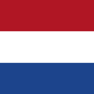 nederlandvoorbeginners.info icon