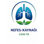 nefes-kaynagi.com.tr icon
