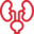 nefrologo-pediatra.com icon