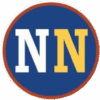 negociosnow.com icon