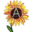 neighborhoodanarchists.org icon