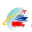 nelsoncourierandtransport.com favicon