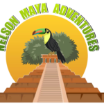 nelsonmayaadventures.com icon