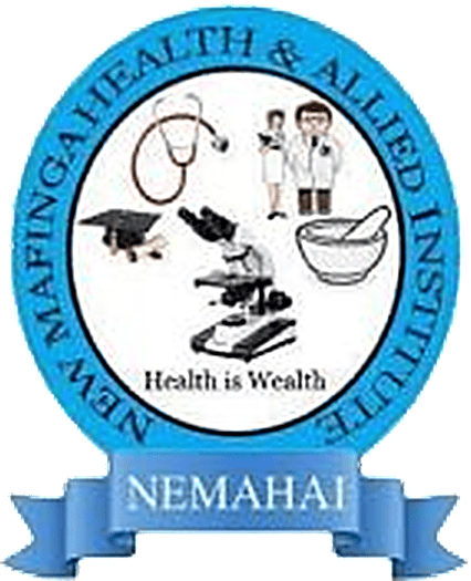 nemahai.ac.tz icon