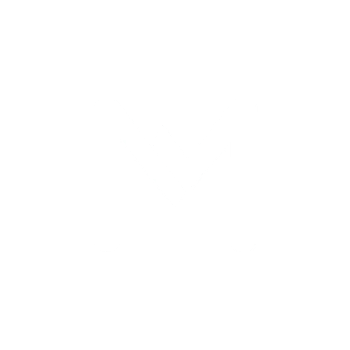 nestmarketingagency.com icon
