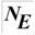net-electric.com icon