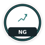 net-gelir.com.tr icon