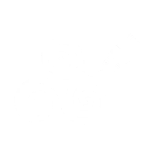 netig.net icon