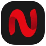 netmirrorapks.com.in icon