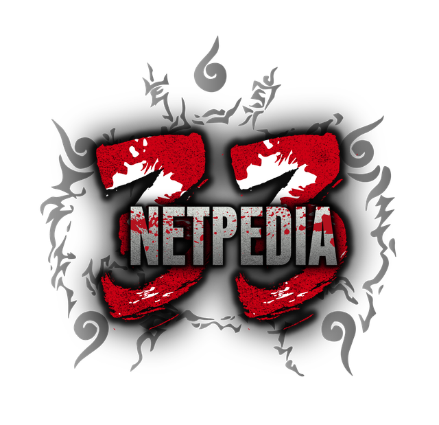 netpedia33wheel.xyz icon