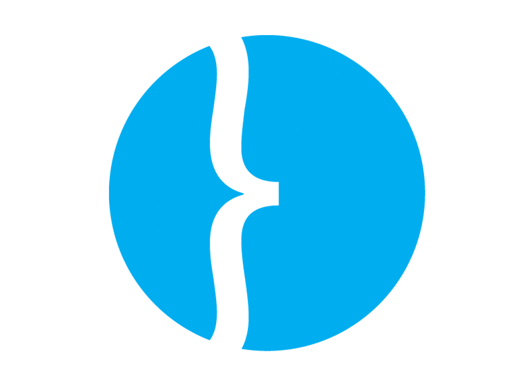 netphiles.com icon