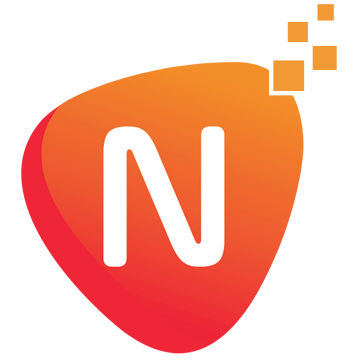 netsoftlab.com icon
