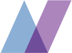 netsolace.com logo