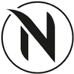 netvisits.com icon