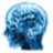 neuropsychiatrichospitals.net icon