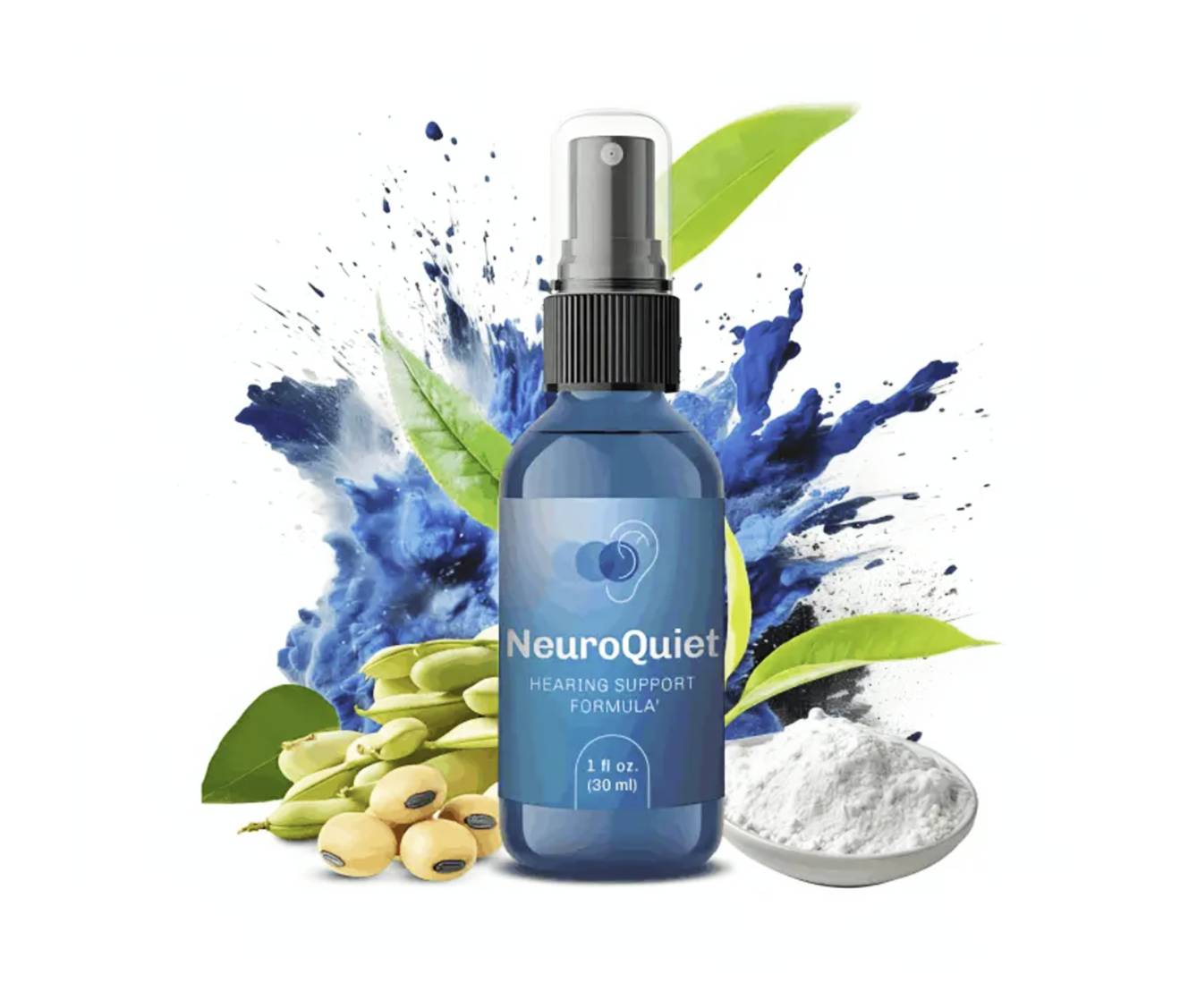 neuroquietneuroquiet.com icon