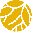 neuroreg.se icon