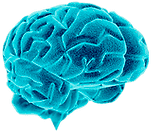 neurovox.academy icon