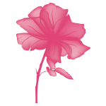 nevadoroses.com icon