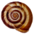 nevertebrate.ro icon