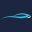 new-car-lease.co.il icon