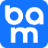 newbamnolja.com icon
