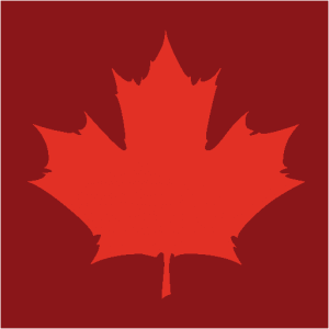 newcanadianmedia.ca icon