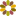 newcityflorist.com icon