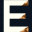 newebony.com icon