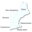 newenglandoil.com icon