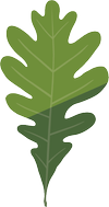New Leaf Solar LLC logo