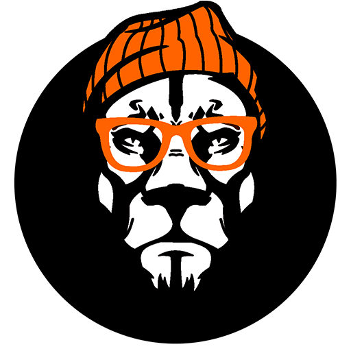 newlionstudio.com icon
