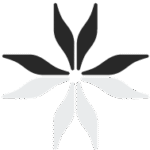 newyorkmeditationcenter.com icon
