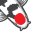 nextdaykoi.com logo