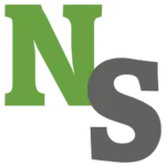nextstone.com icon