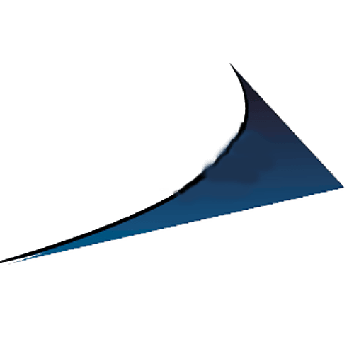nexusds.com logo